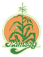 Ramsey Grain